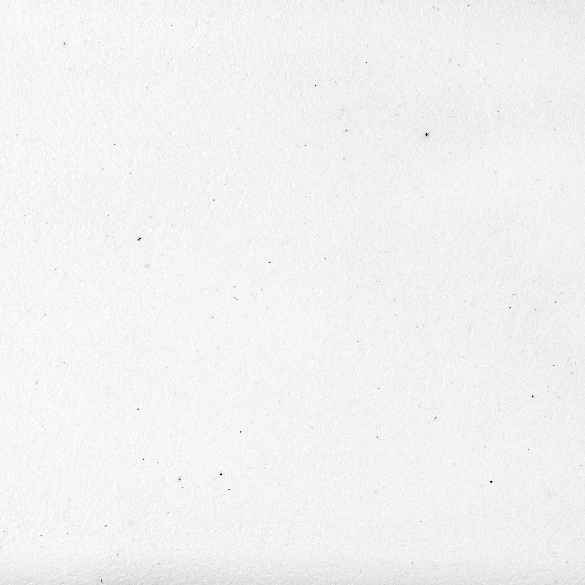 Polar white color