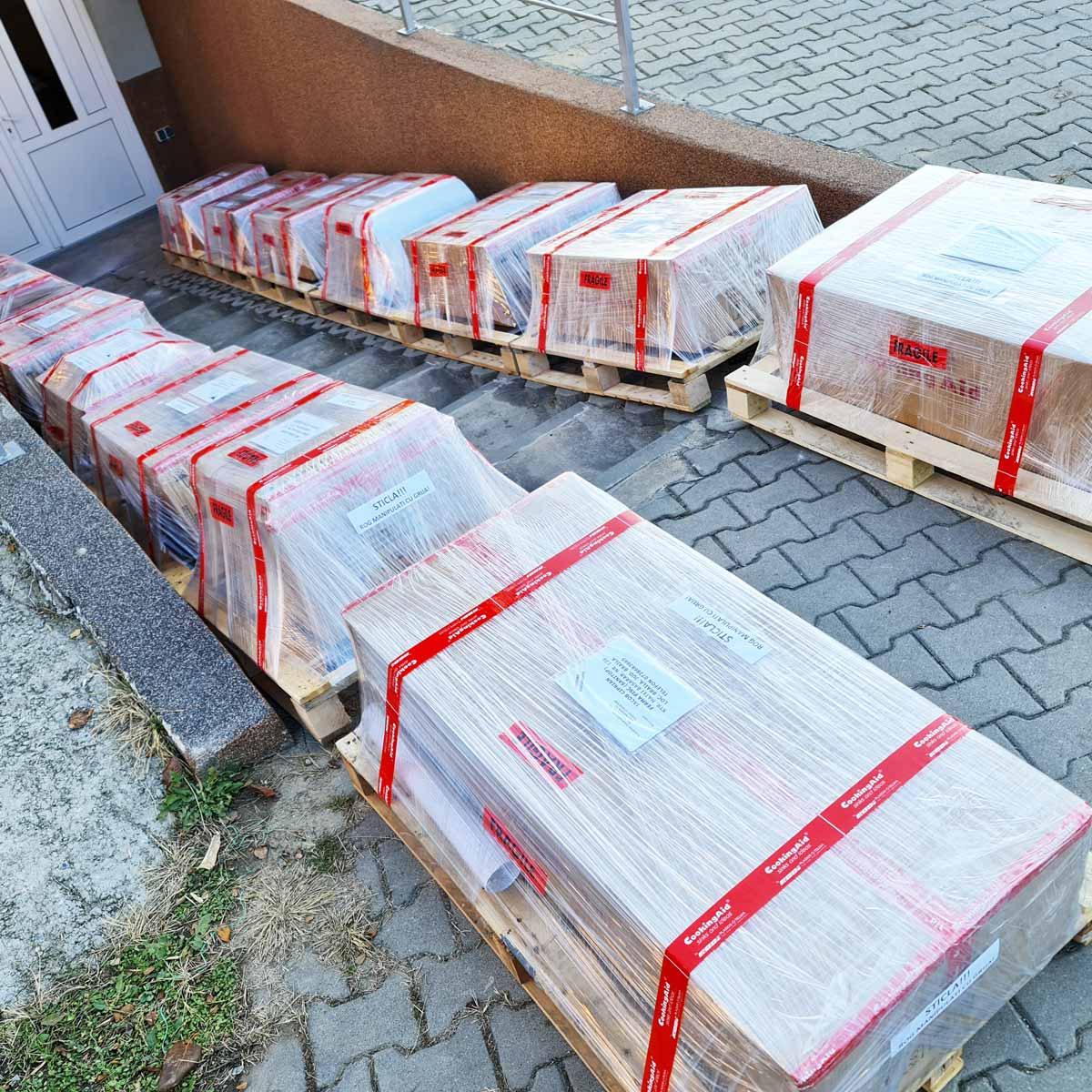 Transport-Paletizat-prin-Pallex-2